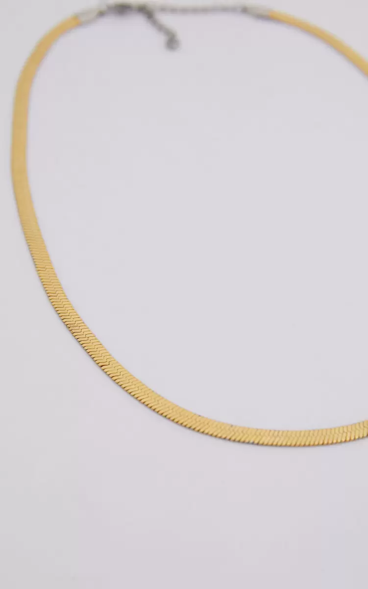 Women Francesa Snakechain Necklace In Gold Showpo Necklaces - 2